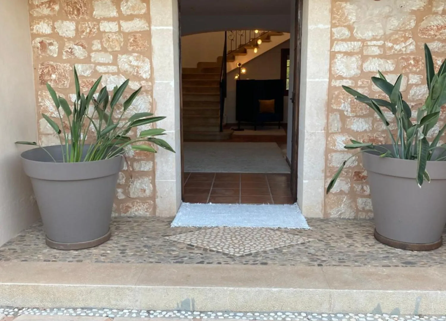 Finca Auf Mallorca Gallo Negro Mallorca Gesamte Unterkunft Social Media Campos  Spain