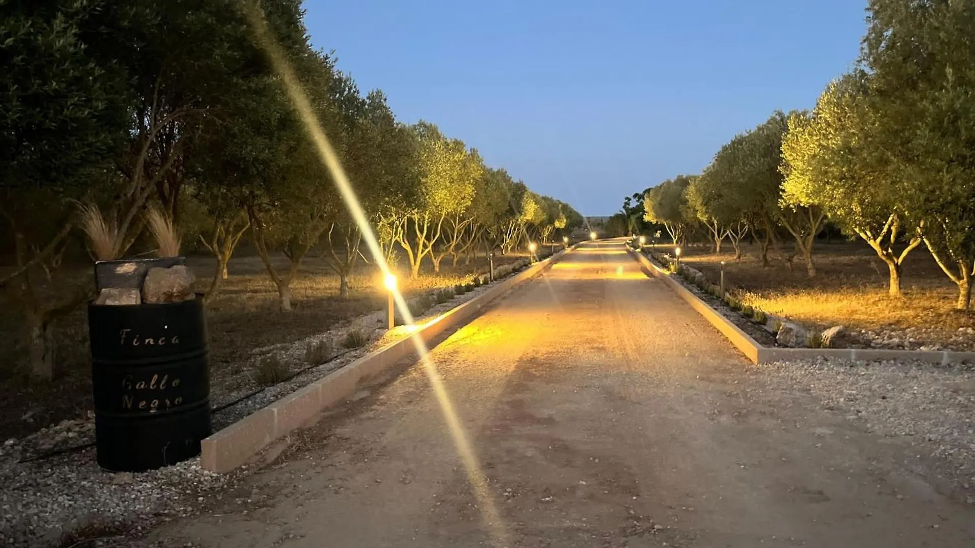 Mallorca 19 Km Montuiri Finca Gallo Negro Santanyi Campos Gesamte Unterkunft Social Media 0*, Campos (Mallorca)