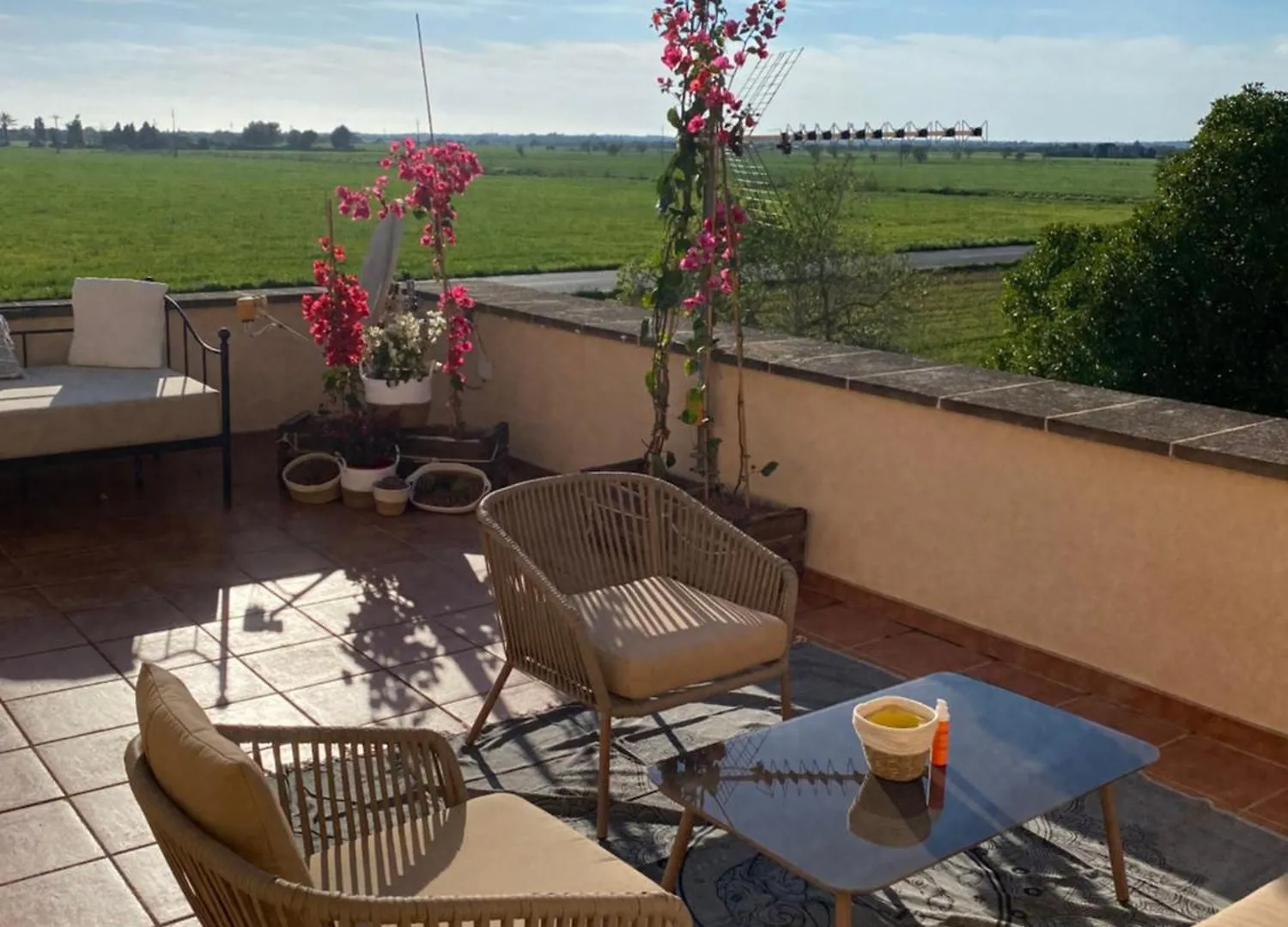 Villa Mallorca 19 Km Montuiri Finca Gallo Negro Santanyi Campos Gesamte Unterkunft Social Media