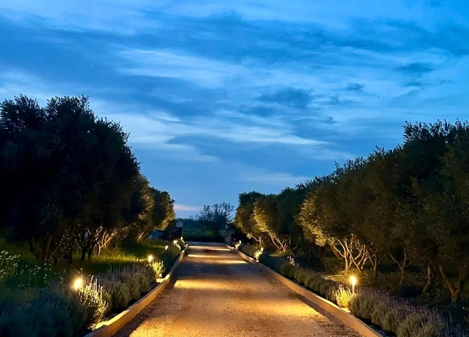 Mallorca 19 Km Montuiri Finca Gallo Negro Santanyi Campos Gesamte Unterkunft Social Media Campos (Mallorca)