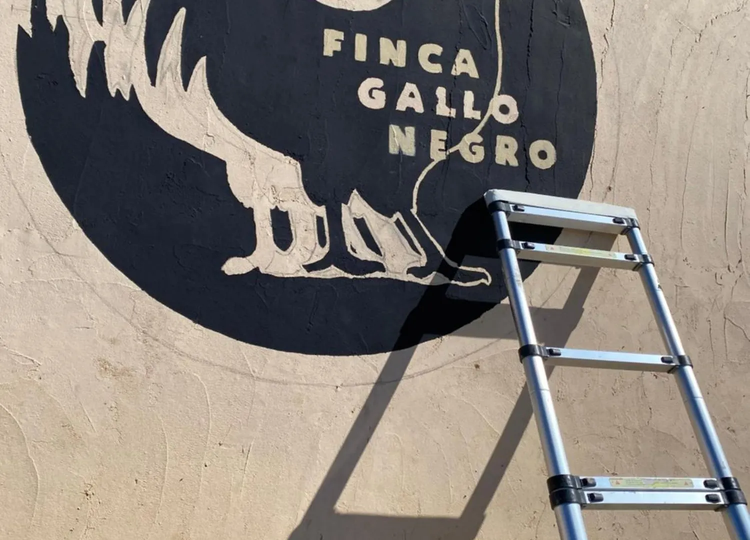 Mallorca 19 Km Montuiri Finca Gallo Negro Santanyi Campos Gesamte Unterkunft Social Media