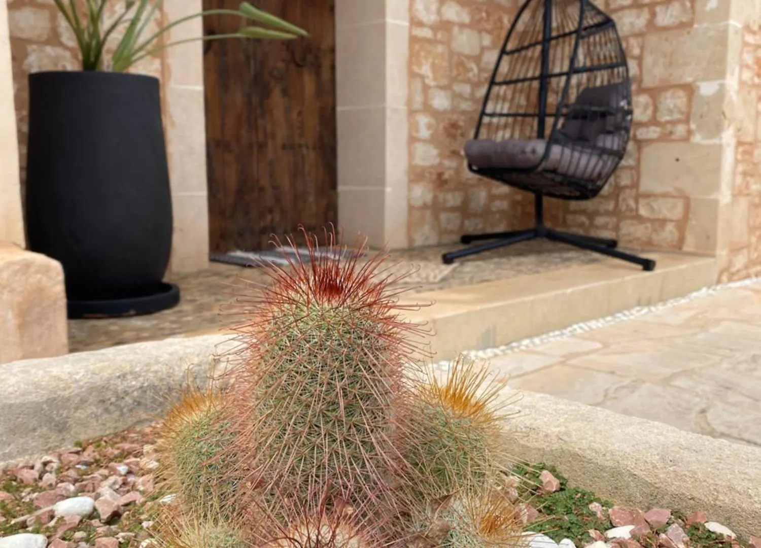 Mallorca 19 Km Montuiri Finca Gallo Negro Santanyi Campos Gesamte Unterkunft Social Media Campos (Mallorca)